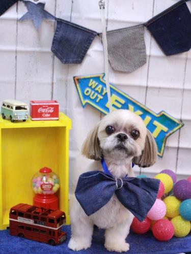 20230416ちょびくん